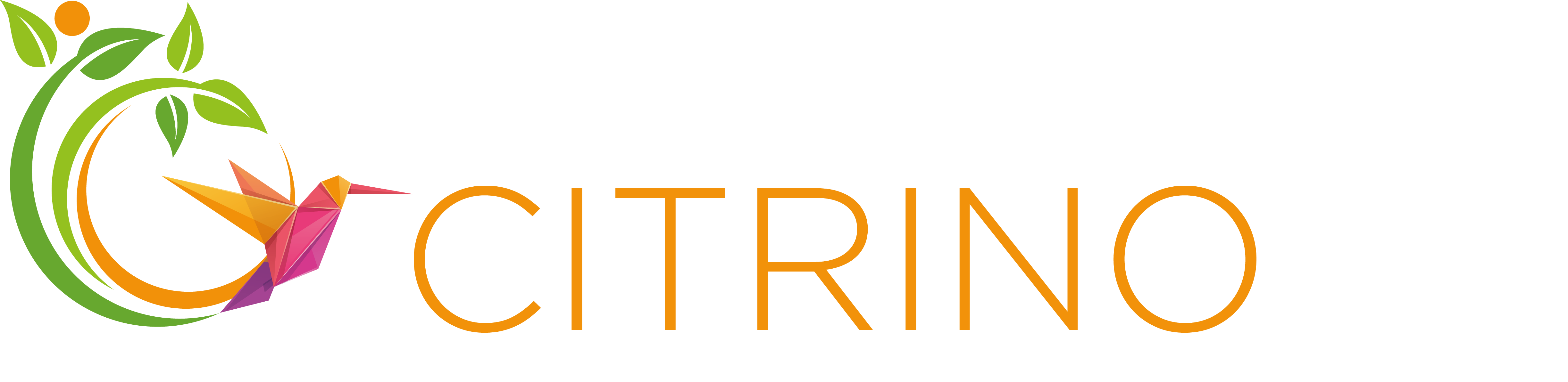 Citrino Soluciones